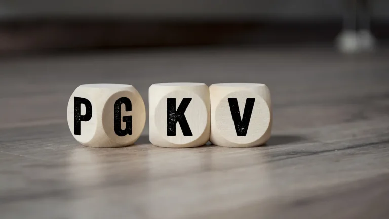 pkv vorteile erklärt